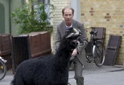 Dr. F&auml;hrmann (Michael Lesch) ist entsetzt; Alpaka Harry will fl&uuml;chten.