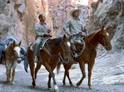 ARD DIE DREI BEGR&Auml;BNISSE DES MELQUIADES ESTRADA (the three burials of melquiades estrada), USA/Frankreich 2004, Regie Tommy Lee Jones, am Samstag (26.04.14) um 02:50 Uhr im Ersten. Ihr Weg nach Mexiko f&uuml;hrt Pete (Tommy Lee Jones) und Mike (Barry Pepper) durch die Ein&ouml;de von Texas.