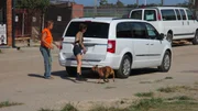 Mariah and Tia loading Ivy up for their home check. Mariah and Tia loading Ivy up for their home check.