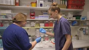 Lilli macht ein Praktikum bei einer Tierärztin. Lilli macht ein Praktikum bei einer Tierärztin.