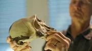 Ottmar Kullmer, Pal&auml;oanthropologe im Senckenberg Forschungsinstitut, pr&auml;sentiert einen Sch&auml;del der ersten Art der Gattung Homo.