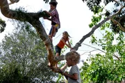 Die Kinder Simone (Morgana Davies, Mitte), Lou (Tom Russell) und Charlie (Gabriel Gotting, re. unten)  und ihr Lieblingsspielplatz: der Baum.