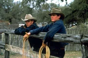 John Grady Cole (Matt Damon, li.) und sein Freund Lacey Rawlins (Henry Thomas, re.) haben auf einer gro&szlig;en mexikanischen Ranch angeheuert.