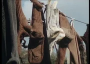 Socken der armen Klosterschwestern. Socken der armen Klosterschwestern.