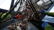 Working on deck of the Time Bandit.