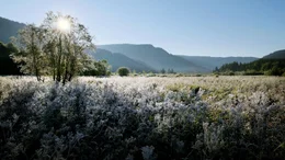 H&ouml;rfeldmoor im Naturpark Zirbitzkogel‐Grebenzen. Das Naturjuwel entstand vor 10.000 Jahren durch dasAbschmelzen des Murtalgletschers.