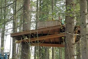 Pete gives his daughter a treehouse.