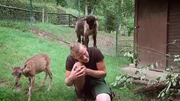 Pfleger Florian Rimpler aus dem Opel Zoo Kronberg f&auml;llt der Abschied von Zicklein Rosi und Mufflonbaby Carla schwer.