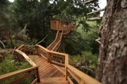 Treehouse.