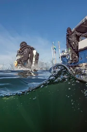 Taucher schwimmen direkt &uuml;ber dem Wrack der &bdquo;Gribshunden&ldquo; (dt.: Greifhund). Die Unterwasserarch&auml;ologen wollen ihre schiffstechnischen Geheimnisse erforschen.