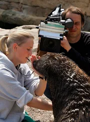 Der Radio-Bremen-Kameramann Stefan Paul nimmt im "Zoo am Meer" in Bremerhaven die Tierpflegerin Constanze Czech zusammen mit einem Seeb&auml;ren auf.