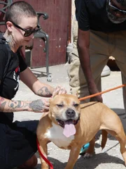 Mariah and Earl loading Melfie up for the home check.