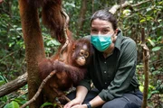 Waldschule f&uuml;r Waisen: In der Auffangstation lernen junge Orang-Utans t&auml;glich, welche Pflanzen essbar sind, wie man Nester baut und an Termiten kommt &ndash; F&auml;higkeiten, die &uuml;ber ihr &Uuml;berleben entscheiden.