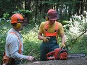 Willi Weitzel (rechts) bekommt die Grundlagen der Holzf&auml;llerei erkl&auml;rt und darf helfen, eine Fichte zu f&auml;llen.