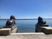 Zwei Löwenskulpturen liegen vor dem Midgardhaus am Starnberger See. Zwei Löwenskulpturen liegen vor dem Midgardhaus am Starnberger See.