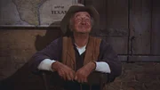 Stumpy (Walter Brennan)