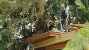 Students learn from Pete Nelson and his team how to build accommodation in the branches of huge trees.