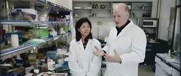 Shi Zhengli, eine f&uuml;hrende Virologin am Institut f&uuml;r Virologie Wuhan, und Peter Daszak, Wissenschaftler und Pr&auml;sident der EcoHealth Alliance, forschten lange zu Coronaviren bei Flederm&auml;usen.