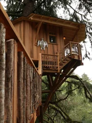 After the treehouse build.