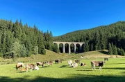 Das Chmarossky-Viadukt im D&ouml;rfchen Telgart ist ein technisches Denkmal und eines der beliebtesten Fotomotive in der Slowakei.