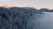 An manchen Tagen, wenn die Konstellation aus Temperatur und Luftfeuchtigkeit g&uuml;nstig zueinander stehen, legt sich sich Raureif &uuml;ber das Alpenvorland. Ein kurzweiliges M&auml;rchenland ist die Folge.