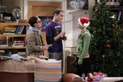 Leonards Mutter Beverly k&uuml;ndigt zu Weihnachten ihren Besuch an. Als Penny ihn darauf anspricht, warum er seiner Mutter nichts von ihrer Beziehung erz&auml;hlt hat, ger&auml;t Leonard in Erkl&auml;rungsnot. Aber Sheldon hat daf&uuml;r eine einfache Begr&uuml;ndung ...