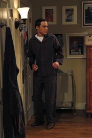 Nachdem bei Sheldon und Leonard eingebrochen worden ist, f&uuml;hlt sich Sheldon (Jim Parsons) nicht mehr sicher ...