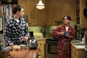 Während Leonard (Johnny Galecki, r.) feststellen muss, dass Penny nach ihrer gemeinsamen Nacht ohne ein Wort verschwunden ist, suchen Howard und Raj im Internet für Sheldon (Jim Parsons, l.) eine Frau ... Während Leonard (Johnny Galecki, r.) feststellen muss, dass Penny nach ihrer gemeinsamen Nacht ohne ein Wort verschwunden ist, suchen Howard und Raj im Internet für Sheldon (Jim Parsons, l.) eine Frau ...