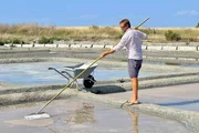 Das weisse Gold von Noirmoutier
In Noirmoutier wird das welweit ber&uuml;hmte Salz noch fast mitelalterlich geerntet.
SRF/MedienKontor/Stephane Nicolle