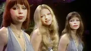 Sommer, Sonne und viel gute Musik. 30 tolle Hits aus den 70er Jahren haben es in die gro&szlig;e Sommer-Hitparade geschafft. Mit dabei sind &bdquo;One Way Wind&ldquo;, &bdquo;Griechischer Wein&ldquo; oder &bdquo;Seasons In The Sun&ldquo;. Doch wer ist unsere Nummer 1? - Pussycat.