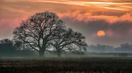 Die March im Abendgl&uuml;hen.
