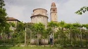 Alte Weinreben im verlassenen Klostergarten auf der Insel San Michele.