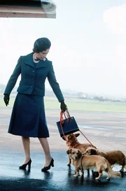 Die Hunde der Queen waren nicht nur ihre treuen Begleiter: Sie waren Teil des Palastlebens und wurden von der K&ouml;nigin bewusst unter die G&auml;ste gelassen.