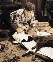 6. Der Waisenjunge Fritzchen (Roland Kaiser) hat zwei Wochen Ferien auf Immenhof gewonnen. Nun wird er sogleich als Krankenw&auml;rter f&uuml;r das Reh angelernt, das ein Gast aus Versehen angefahren hat.