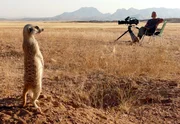 Der Tierfilmer Dirk Blumenberg strahlt schon keine Gefahr mehr f&uuml;r die Erdm&auml;nnchen aus. Geduld und Ausdauer, waren zwei von vielen Dingen, die er und seine Frau brauchten.