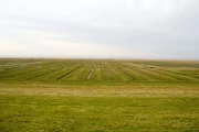 Marne Nordsee, Landschaft.