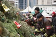 Ein umgest&uuml;rzter Weihnachtsbaum wird zerlegt, l-r: Taylor Kinney als Kelly Severide, Joe Minoso als Joe Cruz