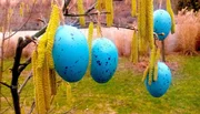 Waren die Ostereier fr&uuml;her wirklich bunter? Und der Fr&uuml;hjahrsputz gr&uuml;ndlicher? Das Osterwetter sonniger und die Fr&uuml;hlingsgef&uuml;hle euphorischer? Wie war die Zeit zwischen Ostern und Pfingsten in den vergangenen Jahrzehnten in Berlin wirklich? Der Film blickt zur&uuml;ck und zeigt viele fast vergessene Aufnahmen aus der Stadt an der Spree im Fr&uuml;hlingsrausch.