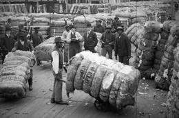 Auf einer Baumwollfarm in Virginia, USA, circa 1905