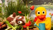 Pitti landet auf dem Blumenbeet.