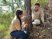 Luis Pineda und seine Kollegin kontrollieren die Wildtier-Kameras nach Puma &shy;Videos.