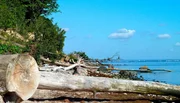 Herabgest&uuml;rzte B&auml;ume s&auml;umen den Strand des Brodtener Steilufers an der L&uuml;becker Bucht.