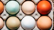Ausgefallene Rassen sorgen f&uuml;r naturbunte Eier.