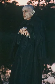 Das Phantom der Nacht - Graf Dracula (Klaus Kinski) - leidet darunter, nicht sterben zu k&ouml;nnen.