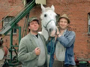 Bauer Brakelmann (Jan Fedder) und Tönnsen (Peter Heinrich Brix) wollen mit der rasigen Stute viel Geld verdienen. Bauer Brakelmann (Jan Fedder) und Tönnsen (Peter Heinrich Brix) wollen mit der rasigen Stute viel Geld verdienen.