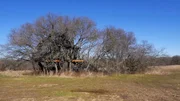 Camo Treehouse.