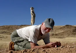 Um hoch hinaus zu kommen, nehmen Erdm&auml;nnchen auch ungew&ouml;hnliche Erh&ouml;hungen gerne zur Hilfe. Von dort sieht man noch viel weiter und besser.