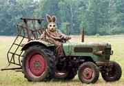 Der Brakelhase auf dem Trecker.