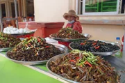 Der Insektenmarkt von Skun ist in ganz Kambodscha bekannt. Hier wird auch die lokale Spezialit&auml;t angeboten: Vogelspinnen.