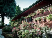 Fuchsiengarten von Heinz Sommerhalder